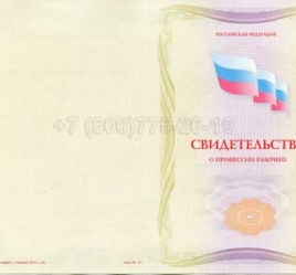Свидетельство о Профессии Рабочего "Автоклавщик литья под давлением" в Волжске