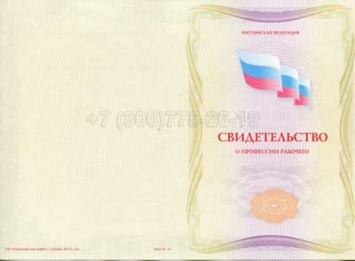 Свидетельство о Профессии Рабочего "Оператор бюро информации о подходе и прибытии грузов" в Волжске